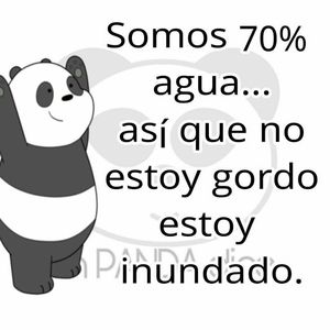 Meet your Posher, Edis